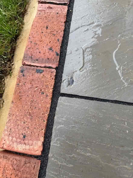 Photo of free Paving slab sealant/grout (TN39 Bexhill) #2