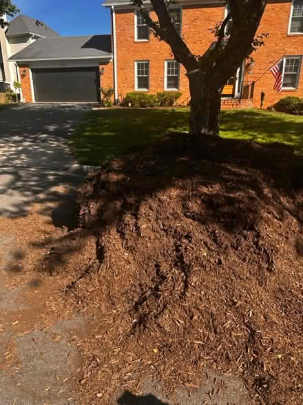 Photo of free mulch (Falls Church, Va) #1