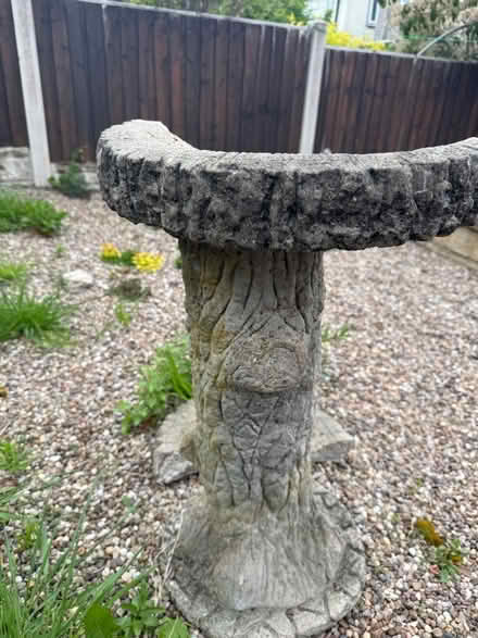 Photo of free Bird bath (DE22) #4