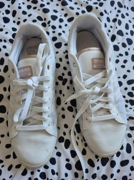 Photo of free Addidas trainers (Chichester) #2