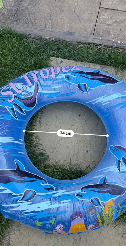 Photo of free Inflatable pool ring (Jennetts park RG12) #2