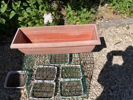 Photo of free Plastic plant trough (OX12 East Hanney) #1