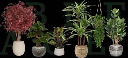 Photo of free Artifical Plants (various sizes) (Edinburgh EH17) #1