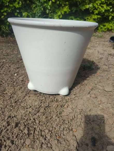 Photo of free Large internal plant pot on wheels (Horbury WF4) #1