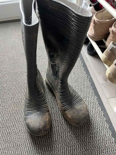 Photo of free Capped work boots (Leckhampton) #1