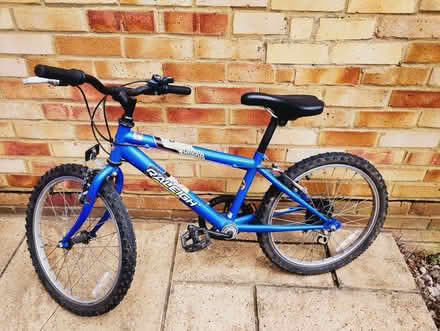 Photo of free Kids Raleigh bike (Top Amersham HP6) #1