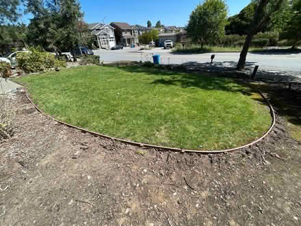 Photo of free lawn / yard border (West side Petaluma) #3
