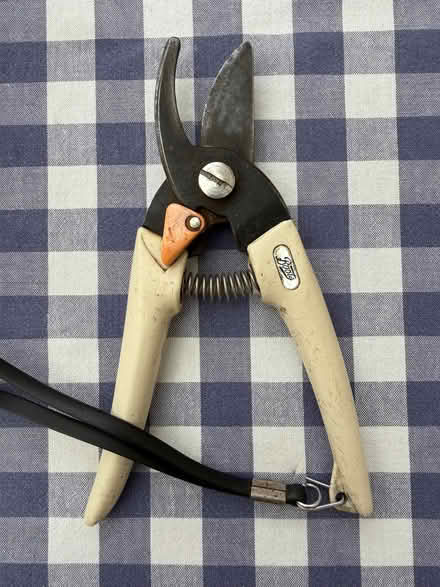 Photo of free Secateurs (Camden BA1) #1