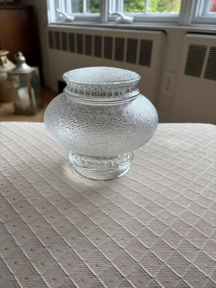 Photo of free Vintage Textured Glass Light Globe (Belmont, MA) #1
