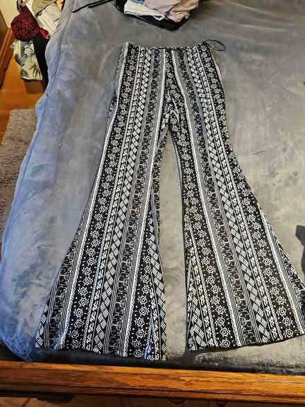 Photo of free 4 BIG BAGS Women's Clothing (Stanley Park Kitchener) #4