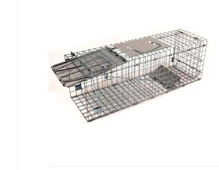 Photo of free Humane Squirrel trap (Oswestry SY11) #1
