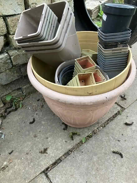 Photo of free Plant pots/ liners - all sizes (Foxton) #3