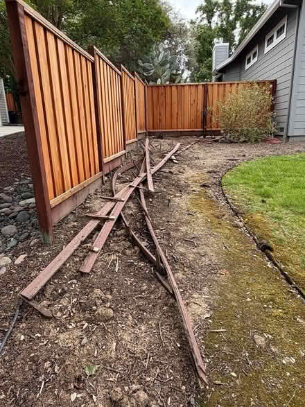 Photo of free lawn / yard border (West side Petaluma) #1