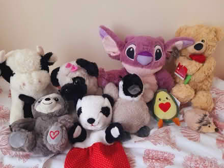 Photo of free Collection of Soft Toys (Reading West RG1) #1