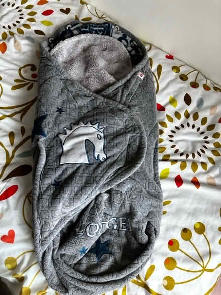 Photo of free Pushchair Footmuff (The Triangle Estate RH15) #1