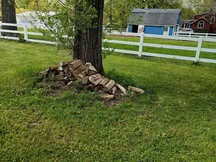 Photo of free seasoned firewood (Romulus on Inkster) #1
