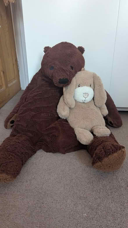 Photo of free Teddy bear & bunny hot water bottle (CR0) #1