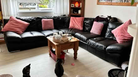 Photo of free Leather corner sofa (Hastings TN35) #1