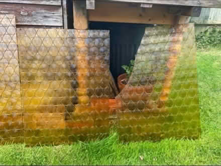 Photo of free Retro Glass panes (Waterlooville PO7) #3