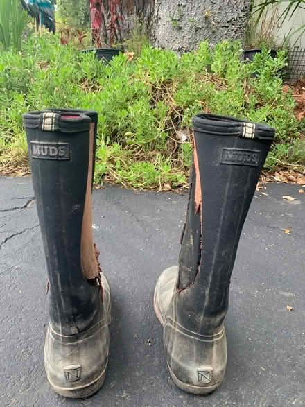 Photo of free Mud boots (Woodside near Town) #4