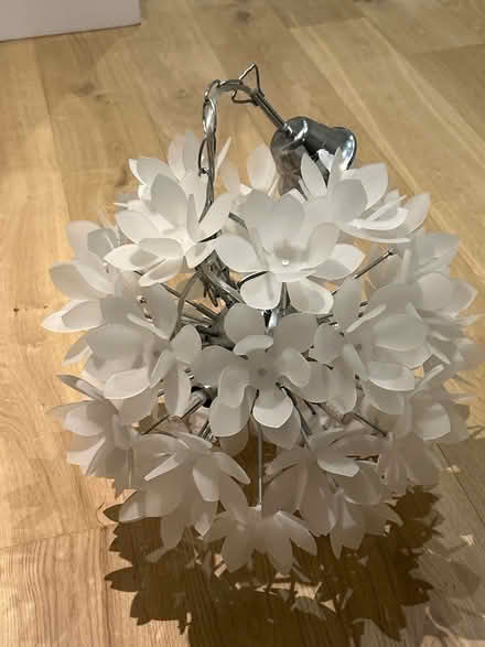 Photo of free Pendant light shades x 4 (Dartry Dublin 6) #2