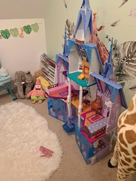 Photo of free Frozen dolls house (READING Rg8) #1
