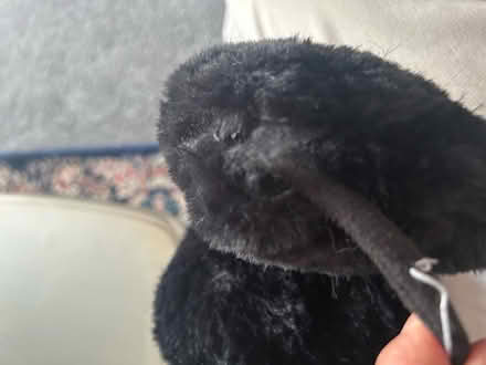 Photo of free Ear muffs (E3) #2