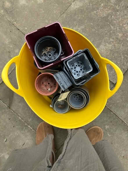 Photo of free Plant pots/ liners - all sizes (Foxton) #2