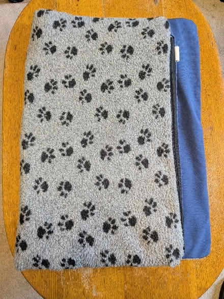 Photo of free Animal bed (Primrose LA1) #1