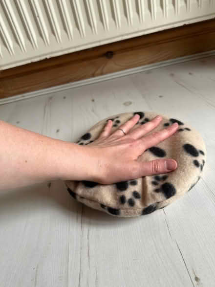 Photo of free Small microwaveable heat pad for a pet (Oldfield Park BA2) #2