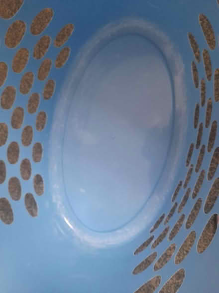 Photo of free Blue plastic washing basket (Reading West RG1) #2