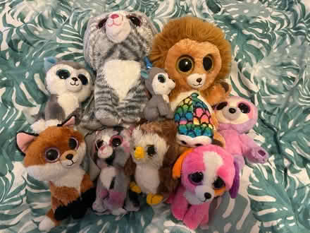 Photo of free Collection of TY Beanie Boos (New Malden KT3) #1