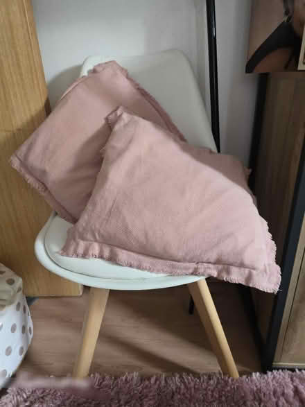 Photo of free Beanbag and 2 cushions (Lewisham SE13) #3