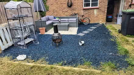 Photo of free Blue rubber bark (Queens Park) #1