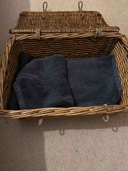 Photo of free Small basket (Barnes SW13) #1