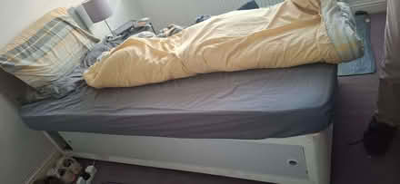 Photo of free Single Bed (Wymondham NR18) #4
