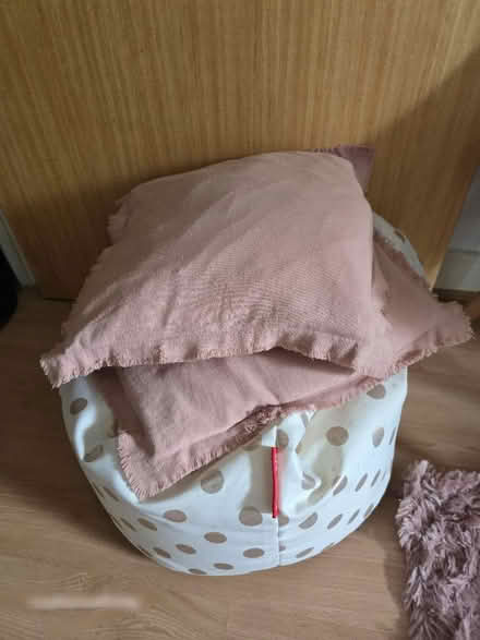 Photo of free Beanbag and 2 cushions (Lewisham SE13) #1