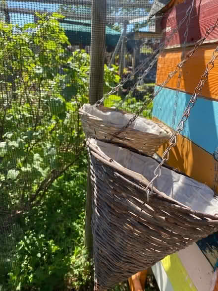 Photo of free 5 conical shape wicker hanging baskets (Lightpill GL5) #3