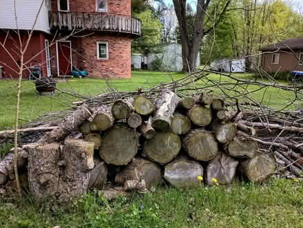 Photo of free seasoned firewood (Romulus on Inkster) #2
