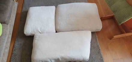 Photo of free 3 large sofa cushions (Hartington Road BN2) #1