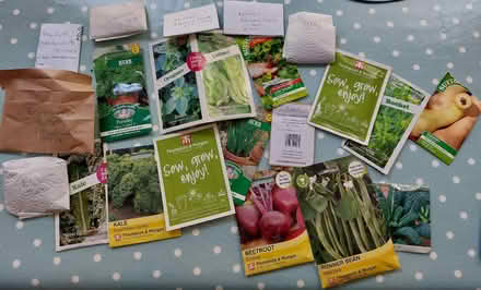 Photo of free veg and flower seeds (Ladywell SE4) #1