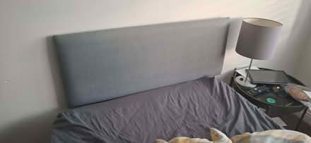 Photo of free Single Bed (Wymondham NR18) #3