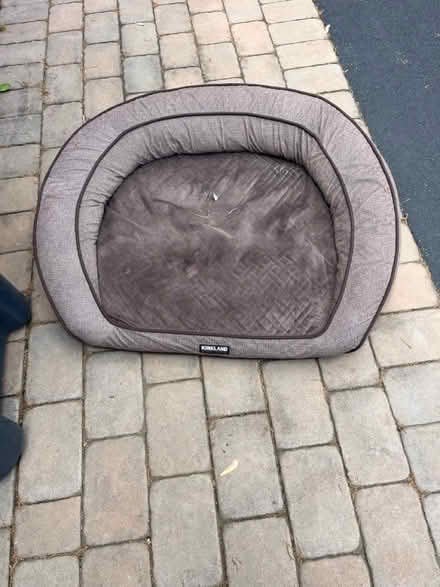 Photo of free Dog bed (West Chester PA) #1