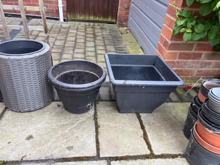 Photo of free Various Plant Pots (Longbarn WA2) #2