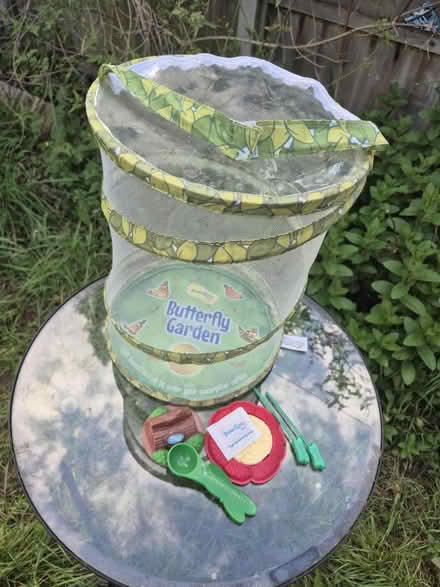 Photo of free Insect Lore Butterfly Garden (Aldershot, GU12) #1