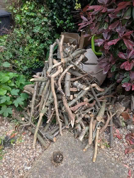 Photo of free Fire wood / large branches (Hemel Hempstead, HP2) #1