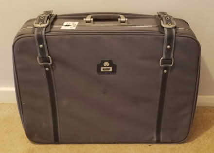 Photo of free Old-fashioned Antler Suitcase (CT2) #1