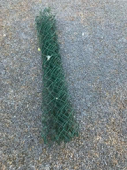 Photo of free Green Wire Netting (Weston Park BA1) #1