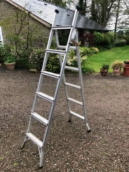 Photo of free Step ladder (Forest Wood LD8) #2