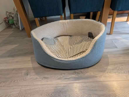 Photo of free Dog bed and blanket (Abingdon-on-Thames OX14) #1